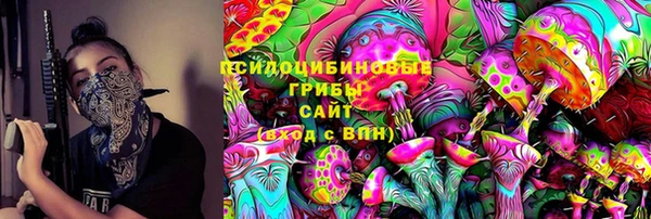 PSILOCYBIN Белокуриха
