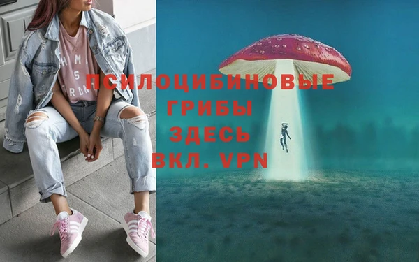 PSILOCYBIN Белокуриха